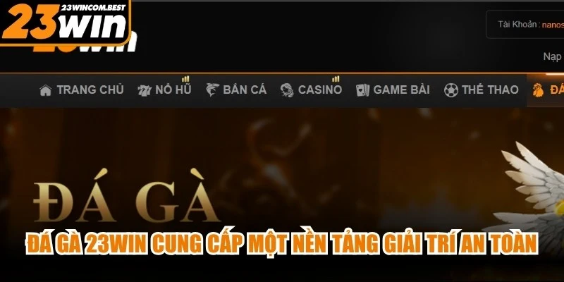 Đá gà 23WIN cung cấp một nền tảng giải trí an toàn và tiện lợi