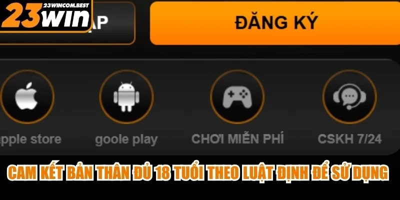 Cam kết bản thân đủ 18 tuổi theo luật định để sử dụng dịch vụ game