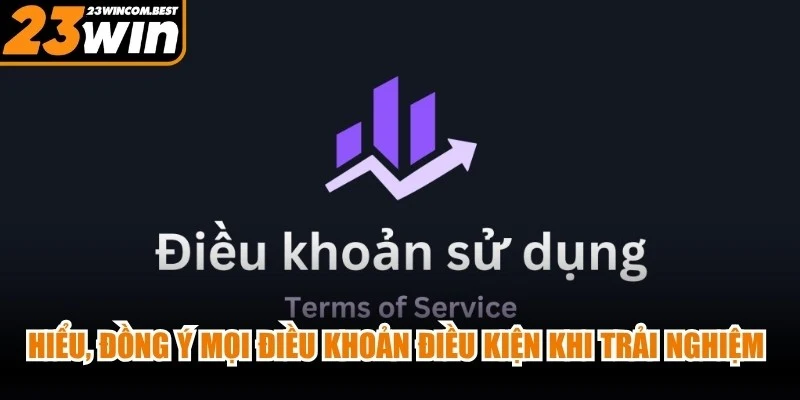 Hiểu, đồng ý mọi điều khoản điều kiện khi trải nghiệm cá cược online